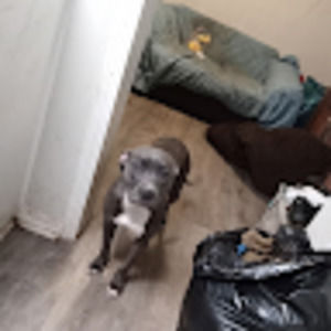 Meet your Posher, Darryl